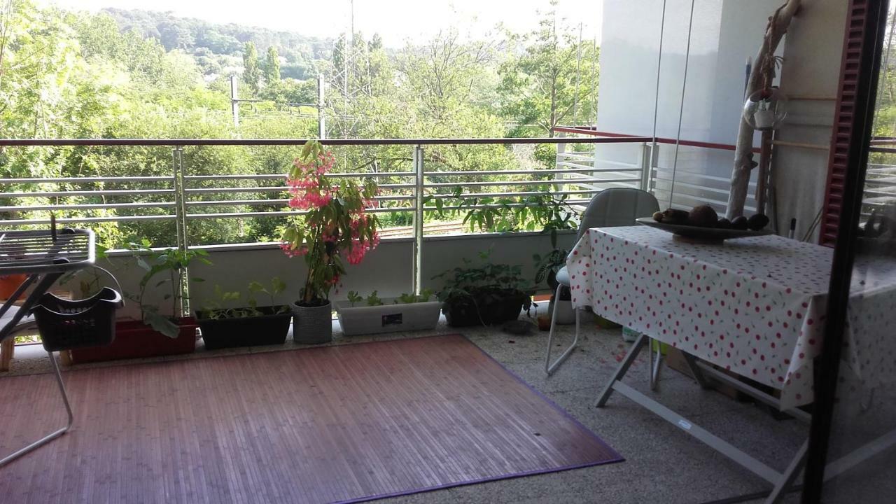 Luckeyhost - T2 Terrasse vue Montagne proche mer Bidart Esterno foto